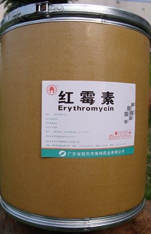 比菲德氏菌的功能