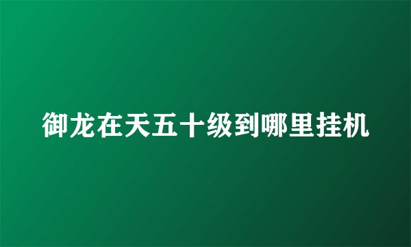 御龙在天五十级到哪里挂机