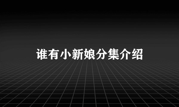 谁有小新娘分集介绍