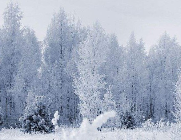 2020年第一场雪发朋友圈说说