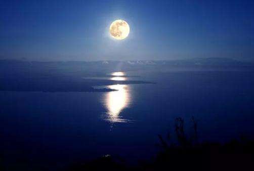 钱塘湖春行名句赏析 短一点