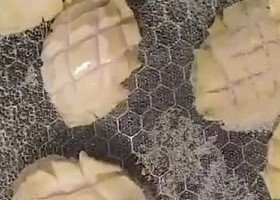 鲍鱼的简单家常做法