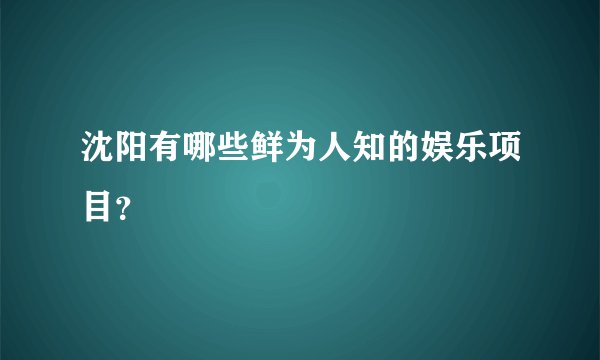 沈阳有哪些鲜为人知的娱乐项目？