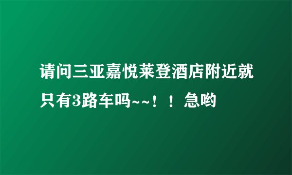 请问三亚嘉悦莱登酒店附近就只有3路车吗~~！！急哟