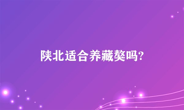 陕北适合养藏獒吗?