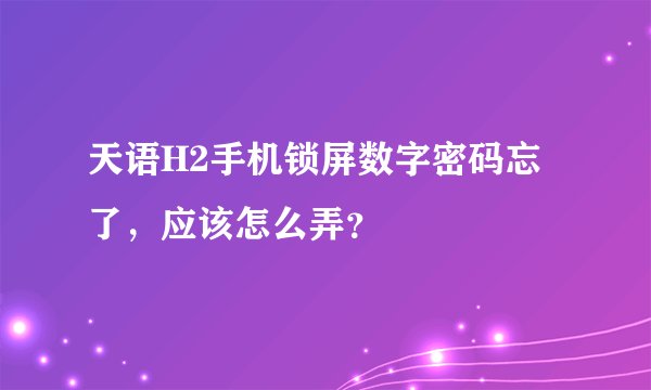 天语H2手机锁屏数字密码忘了，应该怎么弄？