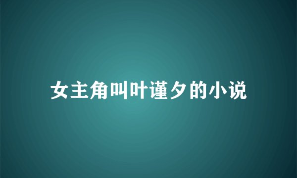 女主角叫叶谨夕的小说