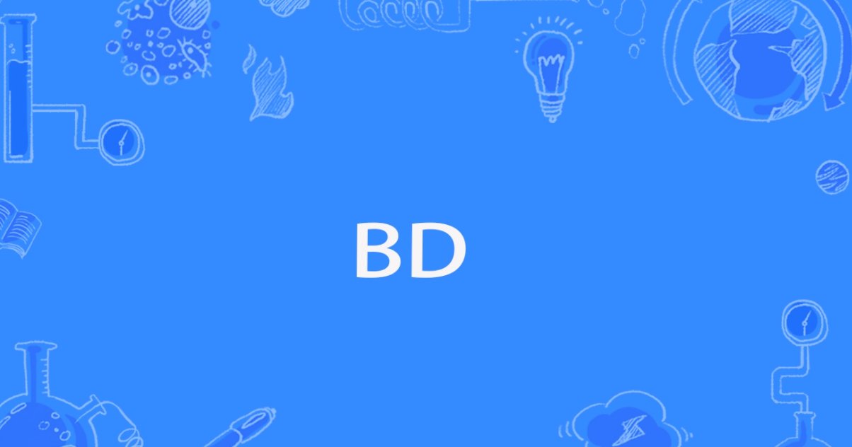 bd是什么意思
