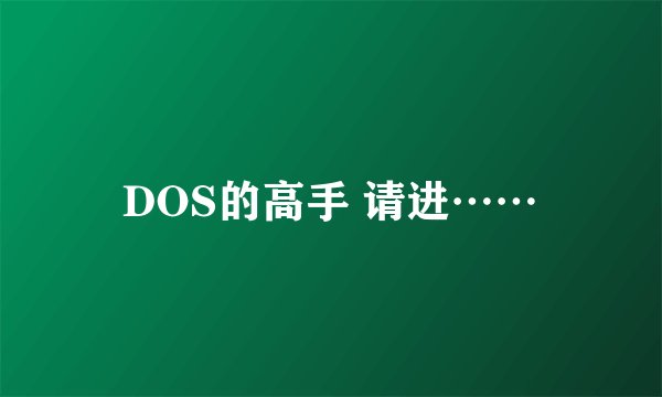 DOS的高手 请进……
