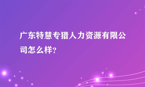 广东特慧专猎人力资源有限公司怎么样？