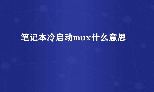 笔记本冷启动mux什么意思