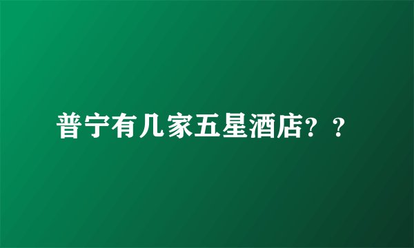 普宁有几家五星酒店？？