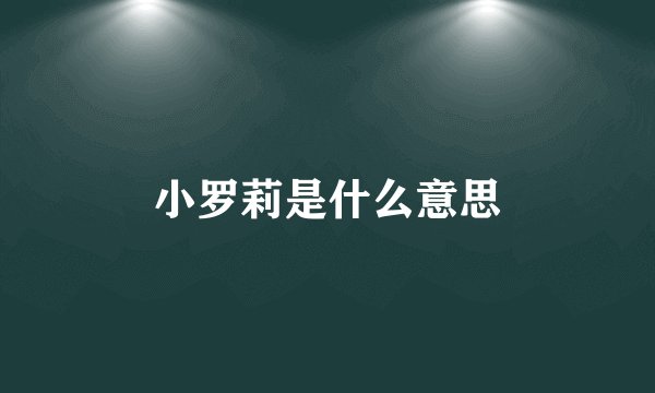 小罗莉是什么意思
