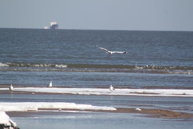两人两日游秦皇岛北戴河怎么安排？