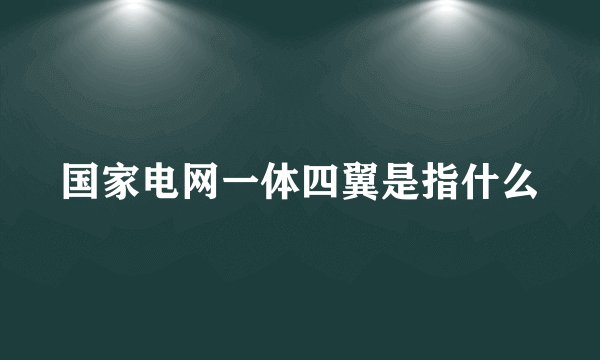 国家电网一体四翼是指什么