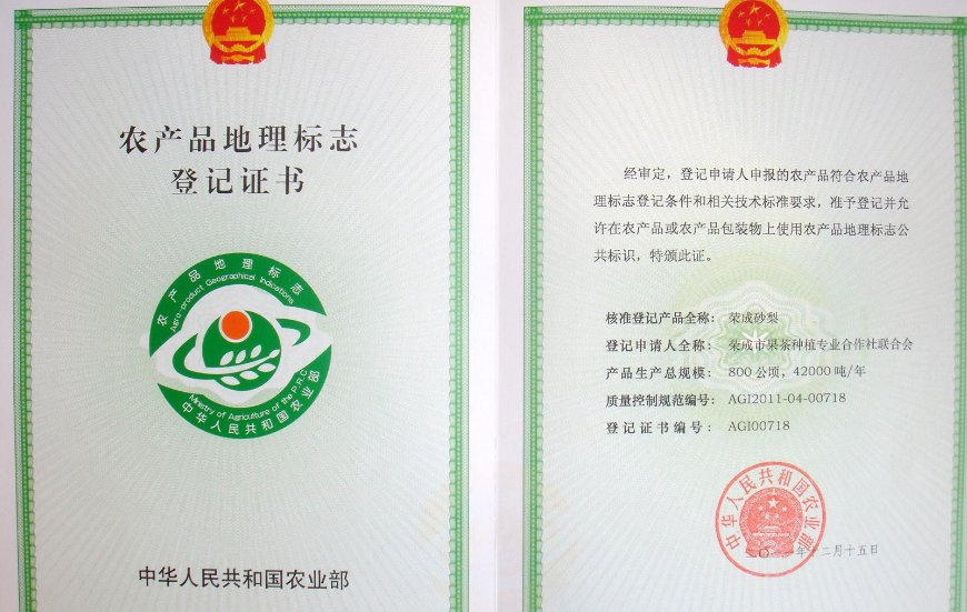 中国农业部副部长有哪几位