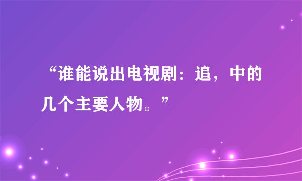 “谁能说出电视剧：追，中的几个主要人物。”