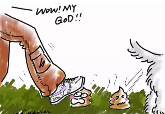 狗屎运是什么意思啊