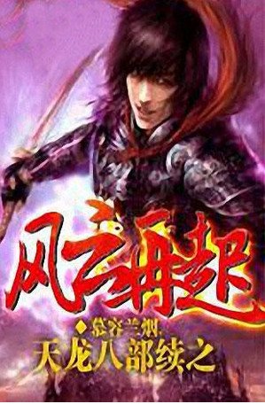 天龙八部续之风云再起的介绍