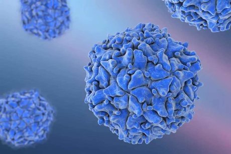 香港出现首例猴痘输入病例，猴痘是通过什么途径传播的？