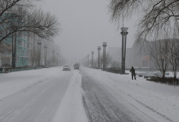 广东气温呈现断崖式下降，有牛被活活冻死，导致广东气温低的原因是什么？
