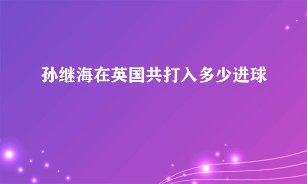 孙继海在英国共打入多少进球