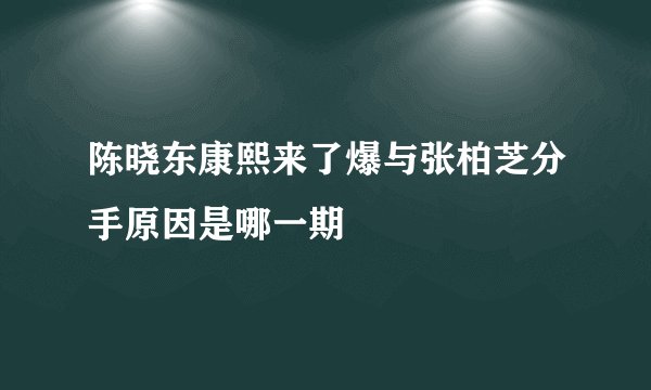 陈晓东康熙来了爆与张柏芝分手原因是哪一期
