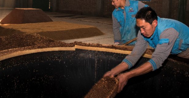 67度衡水老白干价格