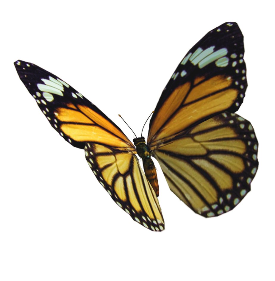 配电柜和配电箱区别