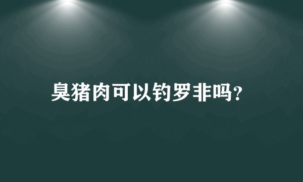 臭猪肉可以钓罗非吗？