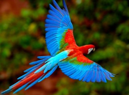 什么披什么造句