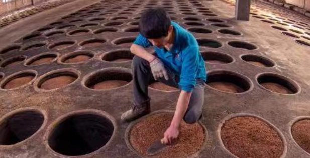 67度衡水老白干价格