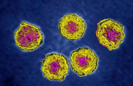 香港出现首例猴痘输入病例，猴痘是通过什么途径传播的？