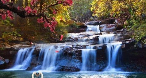 高山流水天籁之音余音绕梁虹黄钟大吕轻歌曼舞行云流水巧夺天工惟妙惟肖画龙点？