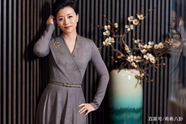 杨澜回应婚内出轨言论，和丈夫吴征相识是因为啥？