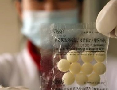 顾方舟糖丸现在怎么没有了？