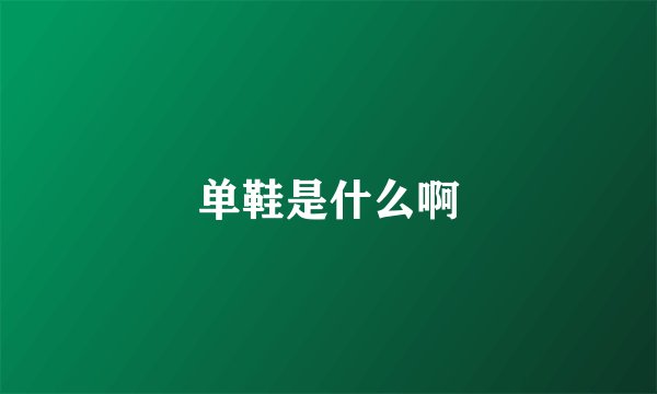 单鞋是什么啊