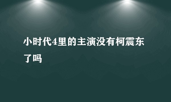 小时代4里的主演没有柯震东了吗