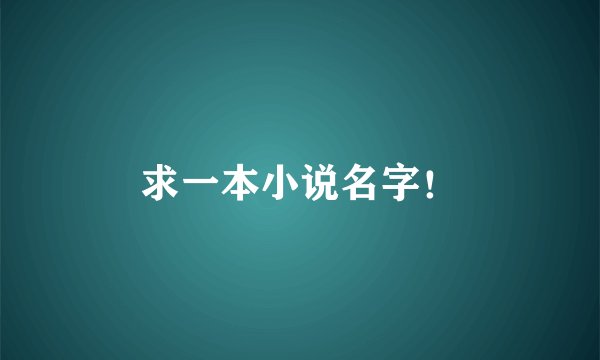 求一本小说名字！