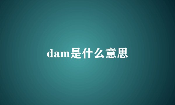 dam是什么意思