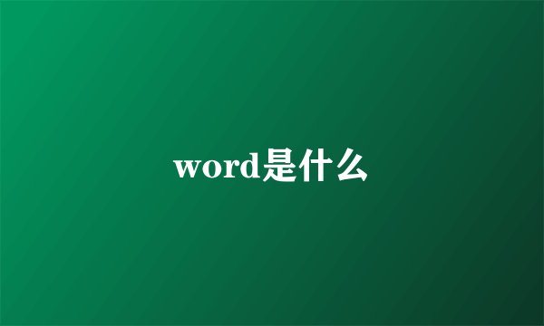 word是什么