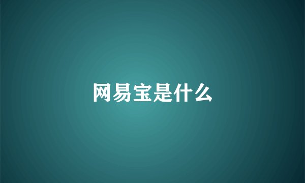 网易宝是什么