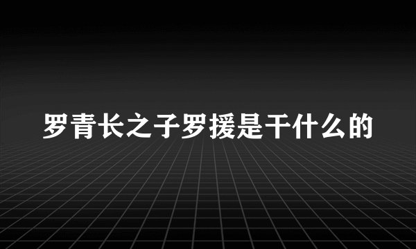 罗青长之子罗援是干什么的