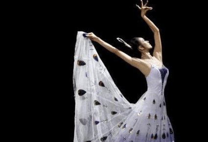 62岁的杨丽萍仙气全无，曾长年吃花瓣，如今怎样了？