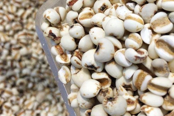 舌苔发白怎么办？