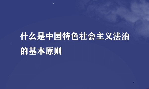什么是中国特色社会主义法治的基本原则
