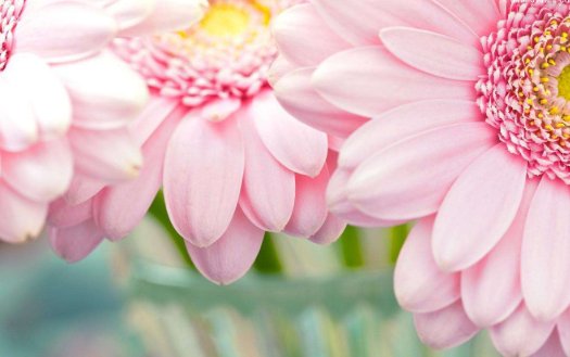 形容“再也回不到从前了”的唯美或者感动的句子有哪些?