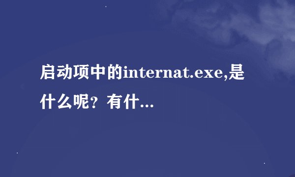 启动项中的internat.exe,是什么呢？有什么用呢？
