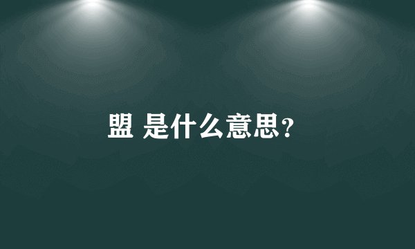 盟 是什么意思？