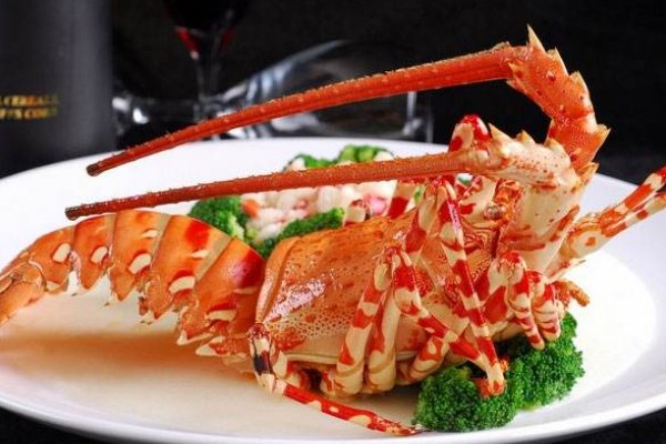 请问澳龙多少钱一斤